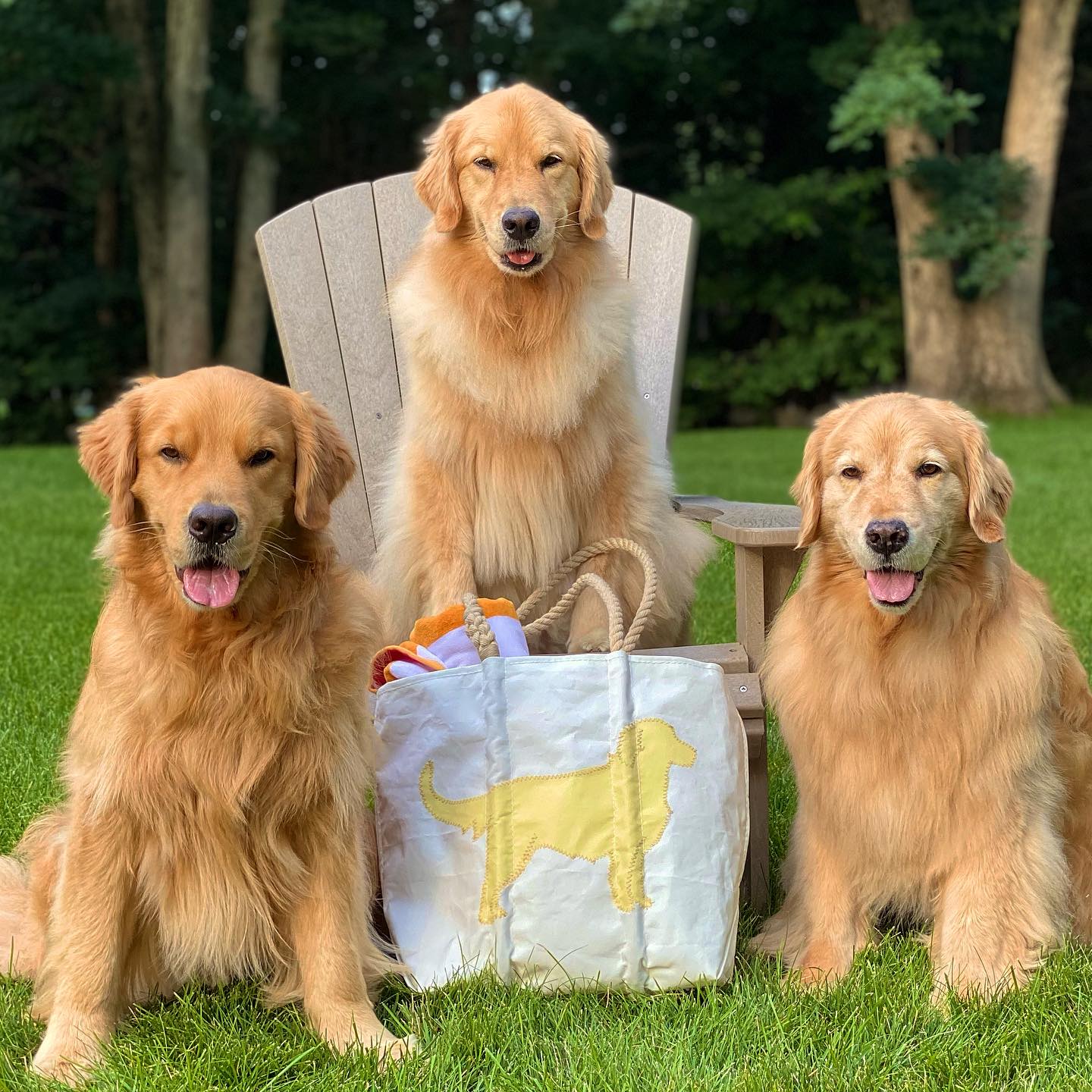 Golden Retriever Medium Tote - Image 2