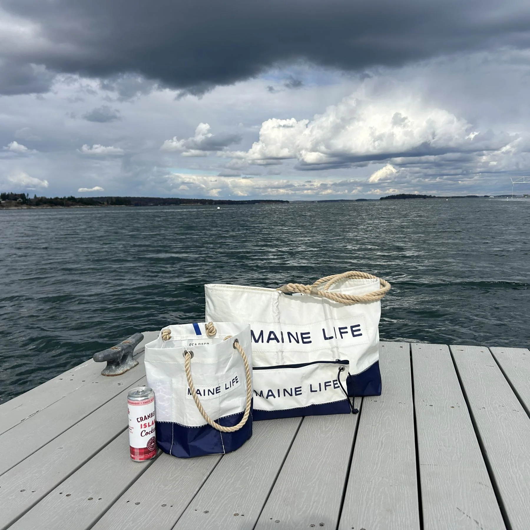 Maine Life Beverage Bucket - Image 5