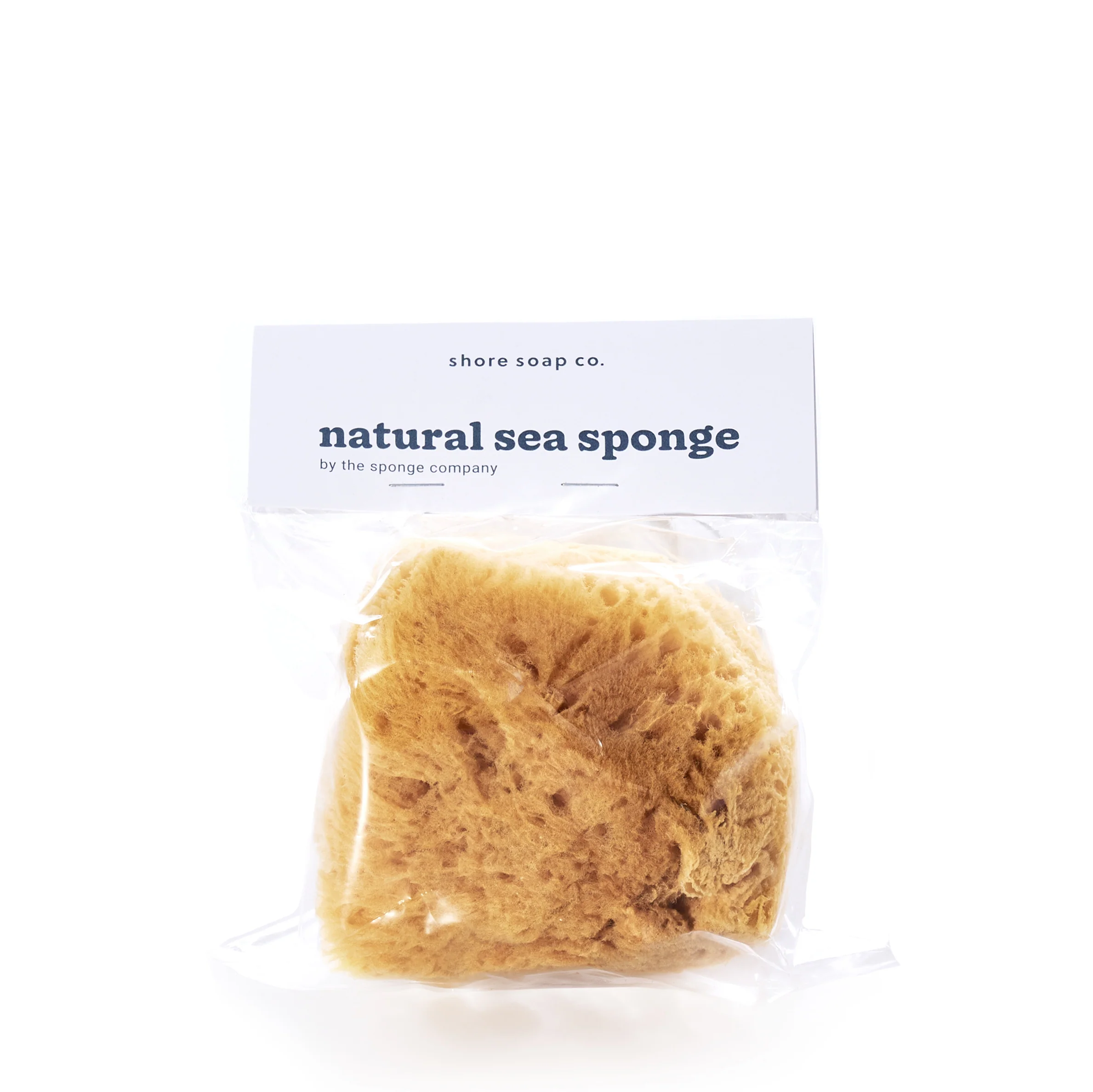 Natural Sea Sponge - Image 2